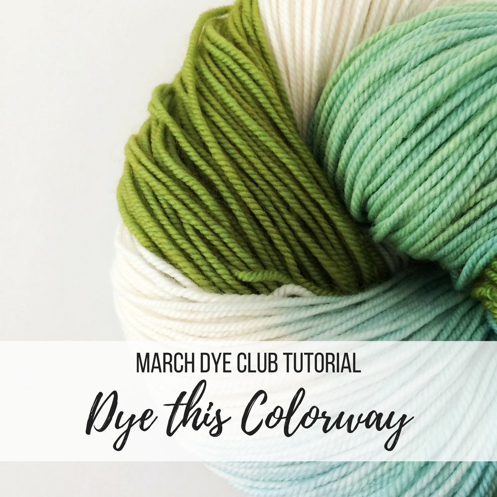 March Dye Club Tutorial - Dye this Colorway
