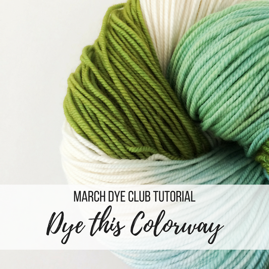 March Dye Club Tutorial - Dye this Colorway